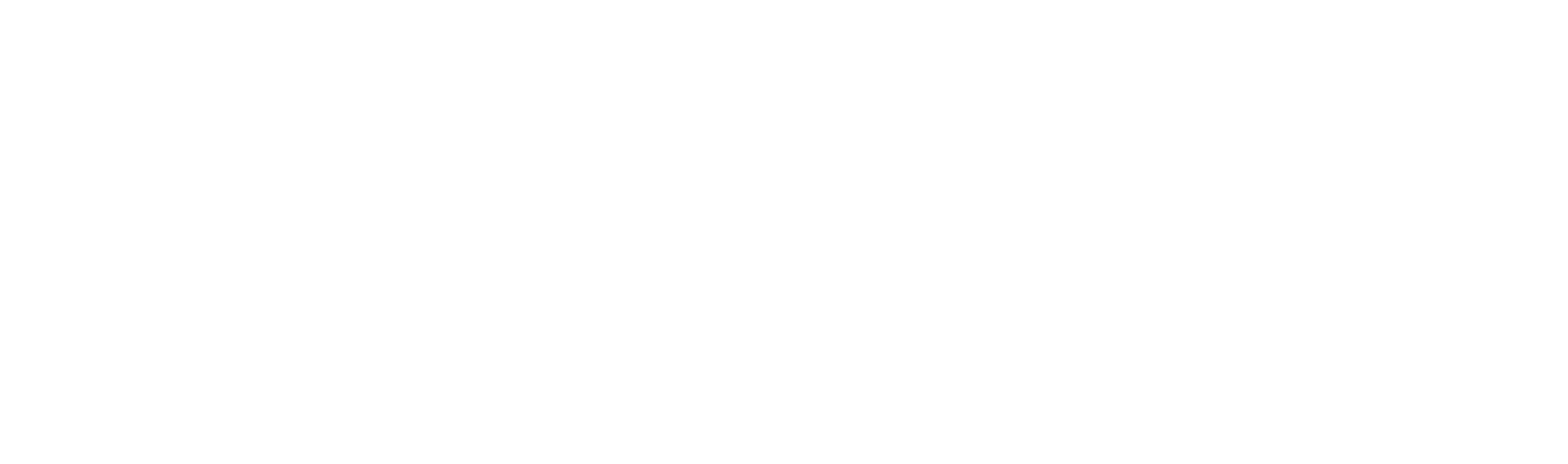 Megaton Brewery logo
